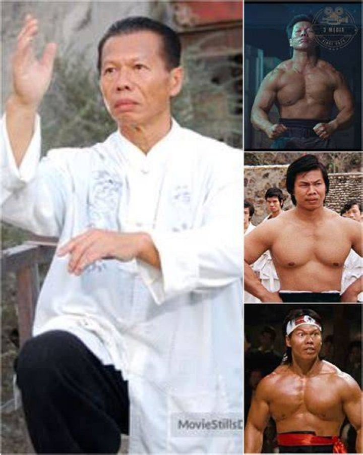 Bolo Yeung's Age: Unveiling the Life and Legacy of a Martial Arts Icon